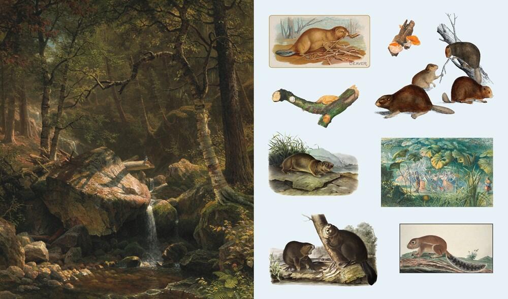 Woodland Adventures klistermærkebog